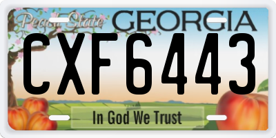GA license plate CXF6443