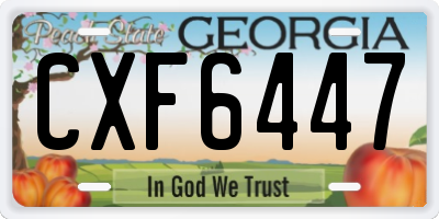 GA license plate CXF6447