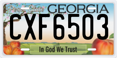 GA license plate CXF6503