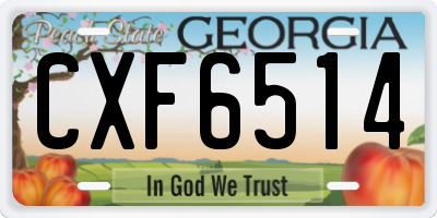 GA license plate CXF6514