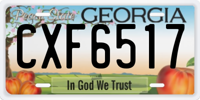 GA license plate CXF6517