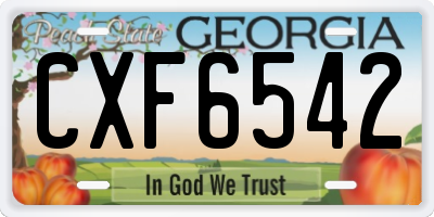 GA license plate CXF6542