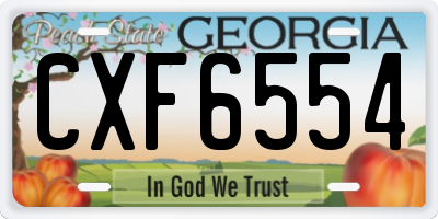 GA license plate CXF6554