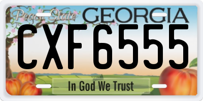 GA license plate CXF6555