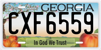 GA license plate CXF6559