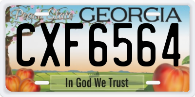 GA license plate CXF6564