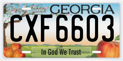GA license plate CXF6603