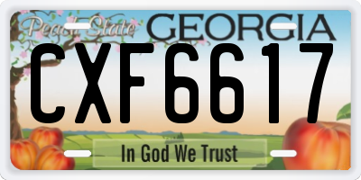 GA license plate CXF6617