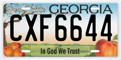 GA license plate CXF6644