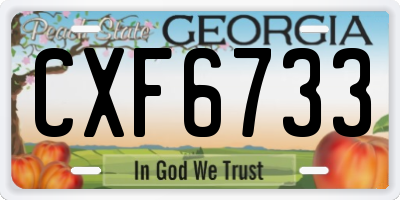GA license plate CXF6733