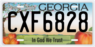 GA license plate CXF6828
