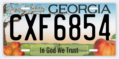 GA license plate CXF6854