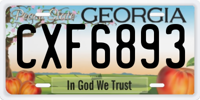 GA license plate CXF6893