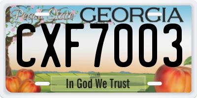 GA license plate CXF7003