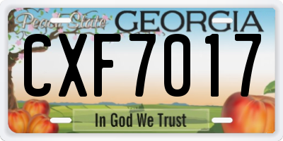 GA license plate CXF7017