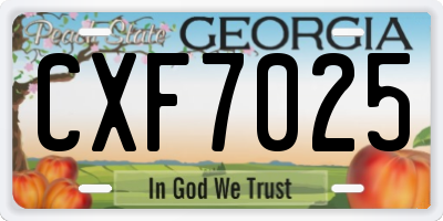GA license plate CXF7025