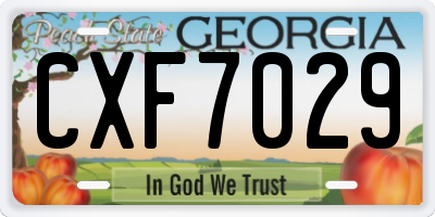 GA license plate CXF7029