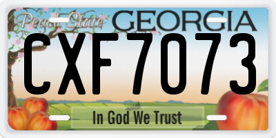GA license plate CXF7073