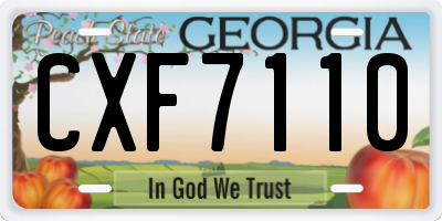 GA license plate CXF7110