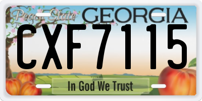 GA license plate CXF7115