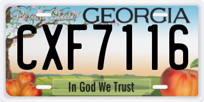 GA license plate CXF7116