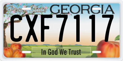 GA license plate CXF7117