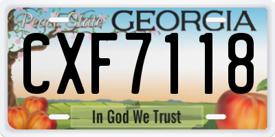 GA license plate CXF7118