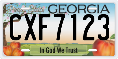 GA license plate CXF7123