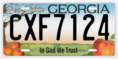 GA license plate CXF7124