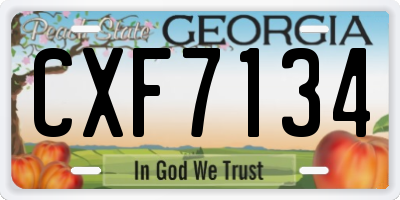 GA license plate CXF7134
