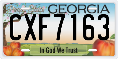 GA license plate CXF7163