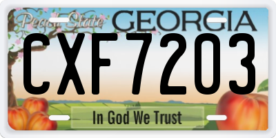 GA license plate CXF7203