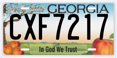 GA license plate CXF7217