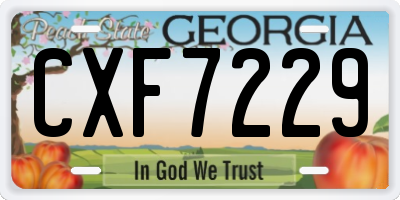 GA license plate CXF7229