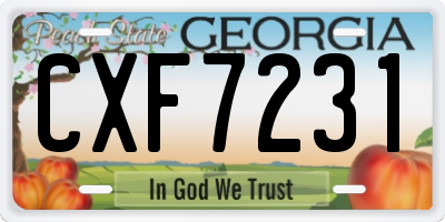 GA license plate CXF7231
