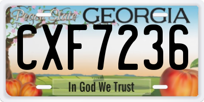 GA license plate CXF7236