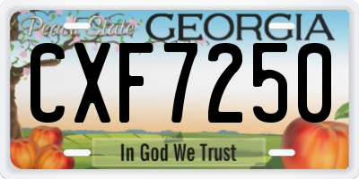 GA license plate CXF7250