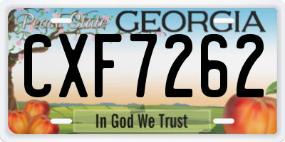GA license plate CXF7262