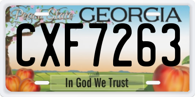 GA license plate CXF7263