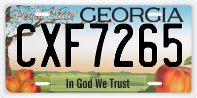 GA license plate CXF7265
