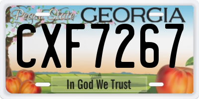 GA license plate CXF7267