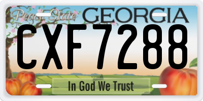 GA license plate CXF7288
