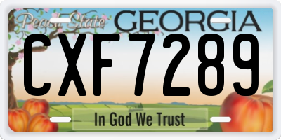 GA license plate CXF7289