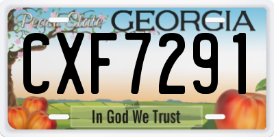 GA license plate CXF7291