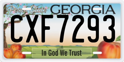 GA license plate CXF7293