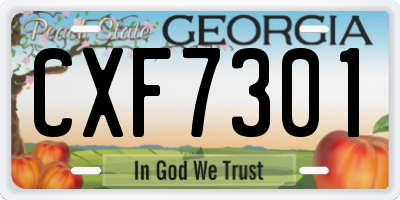 GA license plate CXF7301