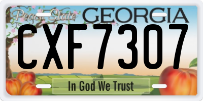 GA license plate CXF7307