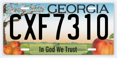 GA license plate CXF7310