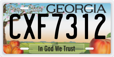 GA license plate CXF7312
