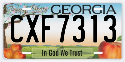 GA license plate CXF7313